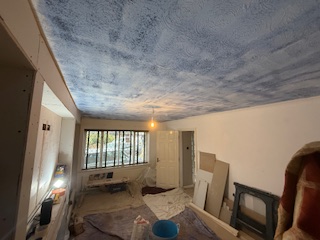 Ceiling plastering in progress — wet plaster application